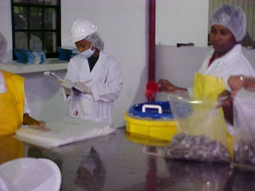 BAHA monitors seafood processing plants