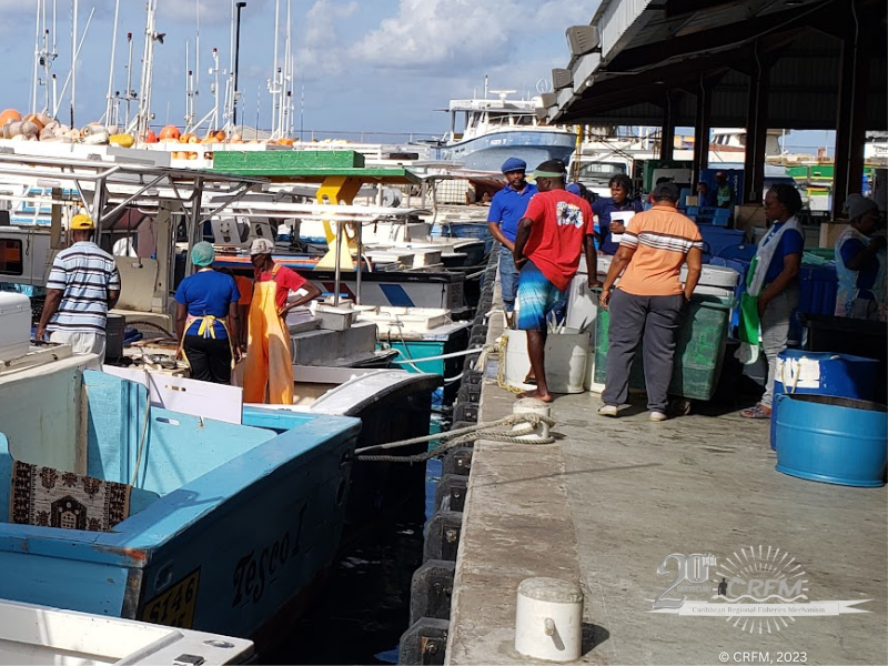 Fishers in Barbados are among stakeholders who have been adversely affected by the Sargassum influxes