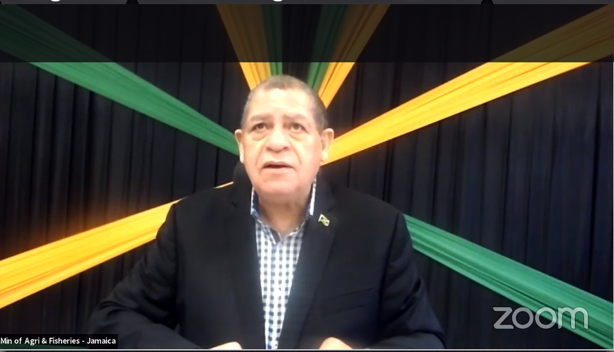 Jamaica Minister