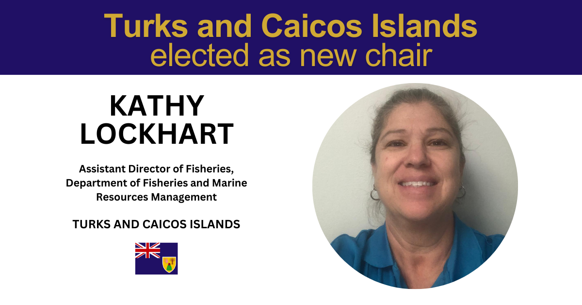 TCI assumes chair of Forum