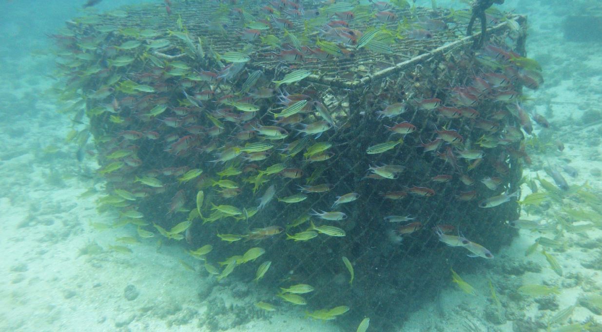 artificial reef