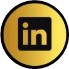 linkedin-fin