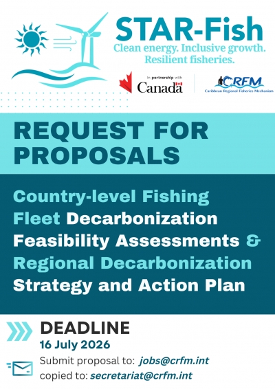 Request for Proposal - Technical Assistance for Country-level Fishing Fleet Decarbonization Feasibility Assessments and Development of a Regional Decarbonization Strategy and Action Plan (Consultant Teams/Firms)