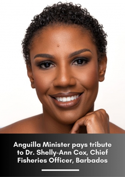 Statement by Honourable Kyle Hodge, Minister of Economic Development, Industry, Commerce, Lands, Planning, Natural Resources and Water, Anguilla