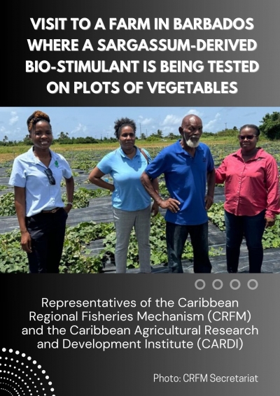 PFR-CRFM to showcase innovative work on Sargassum-derived plant-growth bio-stimulant at upcoming Caribbean Week of Agriculture