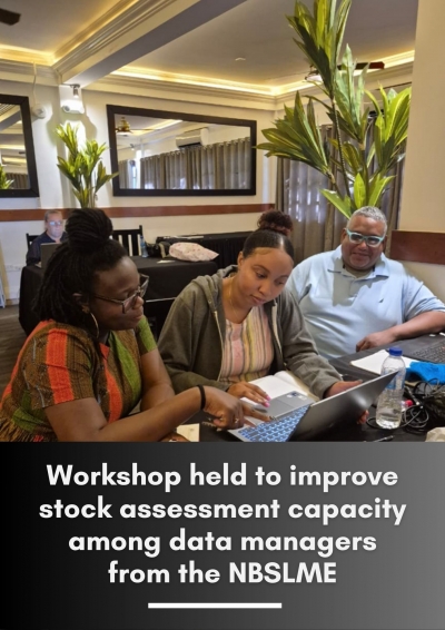 CRFM Working Group Takes Stock of Groundfish with Data-limited Assessment