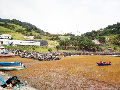 Sargassum Products for Climate Resilience in the Caribbean
