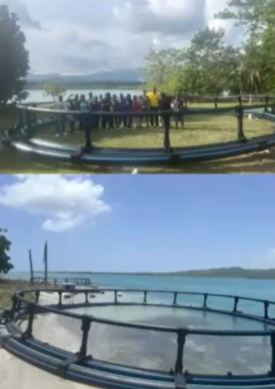 FAO Caribbean Mariculture Webinar Series