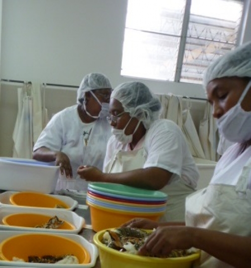 Caribbean Fisheries Forum convenes its 19th Meeting