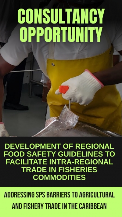 Call for Expression of Interest (EOI): Development of Regional Food Safety Guidelines to Facilitate Intra-Regional Trade in Fisheries Commodities