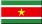 suriname.jpg